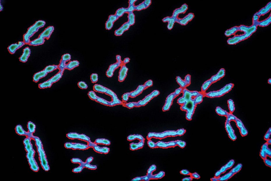 Human-chromosomes